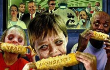 САД убија Србију законом о ГМО
