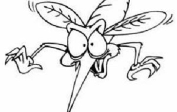 Три природна средства против досадних комараца