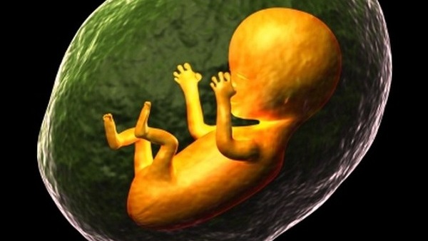 ЗАПИТАЈТЕ СЕ: Колико фетуса сте појели до сад?