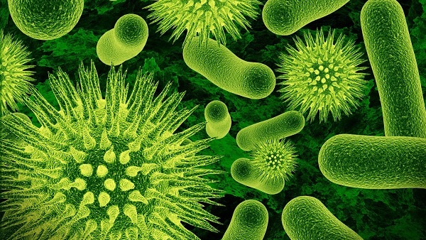 Стручњаци упозоравају на глобалну опасност од бактерија