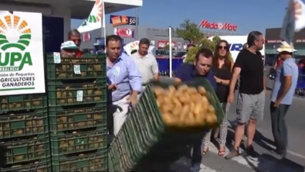 У знак протеста против ЕУ санкција Русији шпански пољопривредници после воћа просули и кромпир (ВИДЕО)