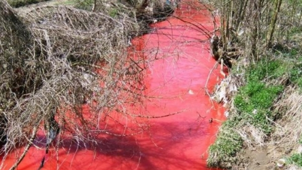 Уочи Великог Петка поцрвенела река у Aранђеловцу! (ФОТО)