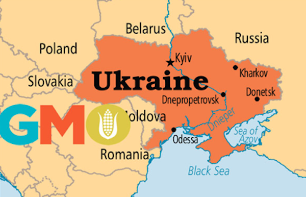 Запад од Украјине „прави полигон за ГМО“