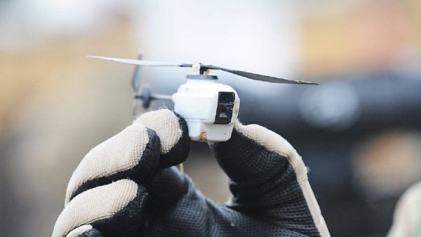 Стршљен дронови – ново оружје америчке војске? (ВИДЕО)