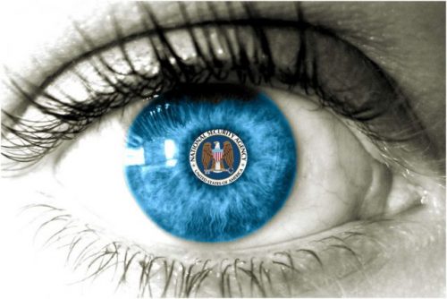 NSA watchdog