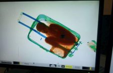 Швајцарски граничари открили мигранта у путној торби (видео)