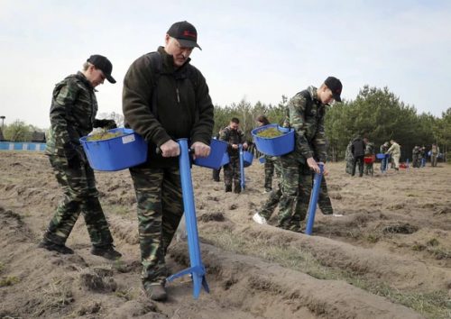 Белорусија: Упркос епидемији, Александар Лукашенко и запослени у јавном сектору кречили, садили дрвеће и чистили градове