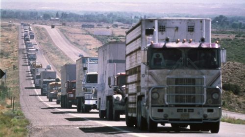 Америчке камионџије формирају конвој за свој протестни „марш на Вашингтон“