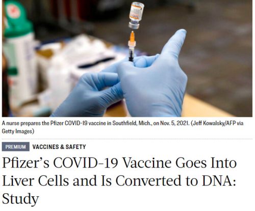 Шведско истраживање: Фајзерова вакцина претвара се у људским ћелијама у ДНК