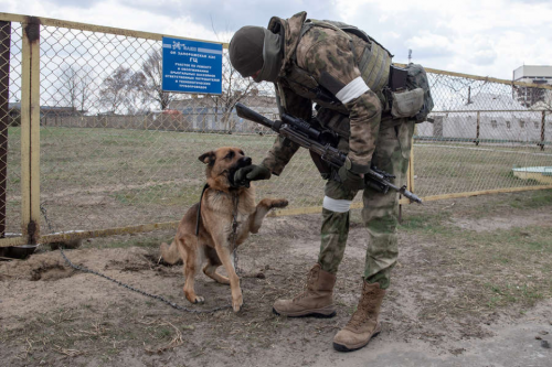 vojnik i pas