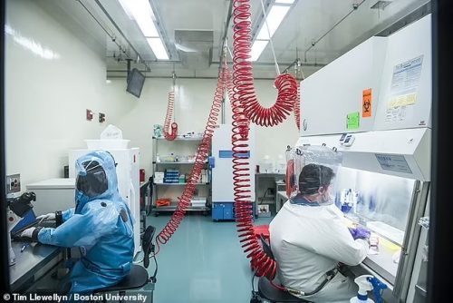 „Дејли мејл“: Научници са Универзитета у Бостону укрстили су спајк протеин благог Омикрон соја са оригиналним Вухан сојем и створили хибридни сој коронавируса – чија је смртност 80 одсто!