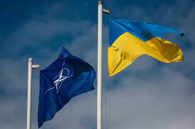 Како је НАТО реаговао на захтев Зеленског о уласку Украјине у Алијансу
