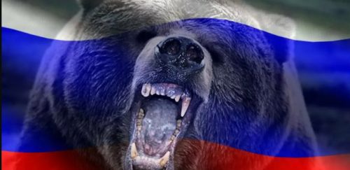 русский-медведь