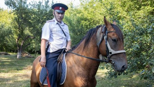 Како су се запорошки и донски козаци нашли на супротним странама историје