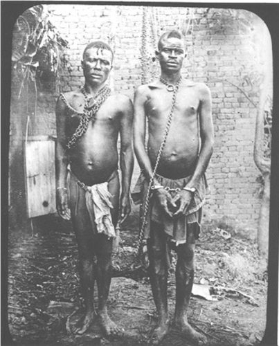 robovi kongo